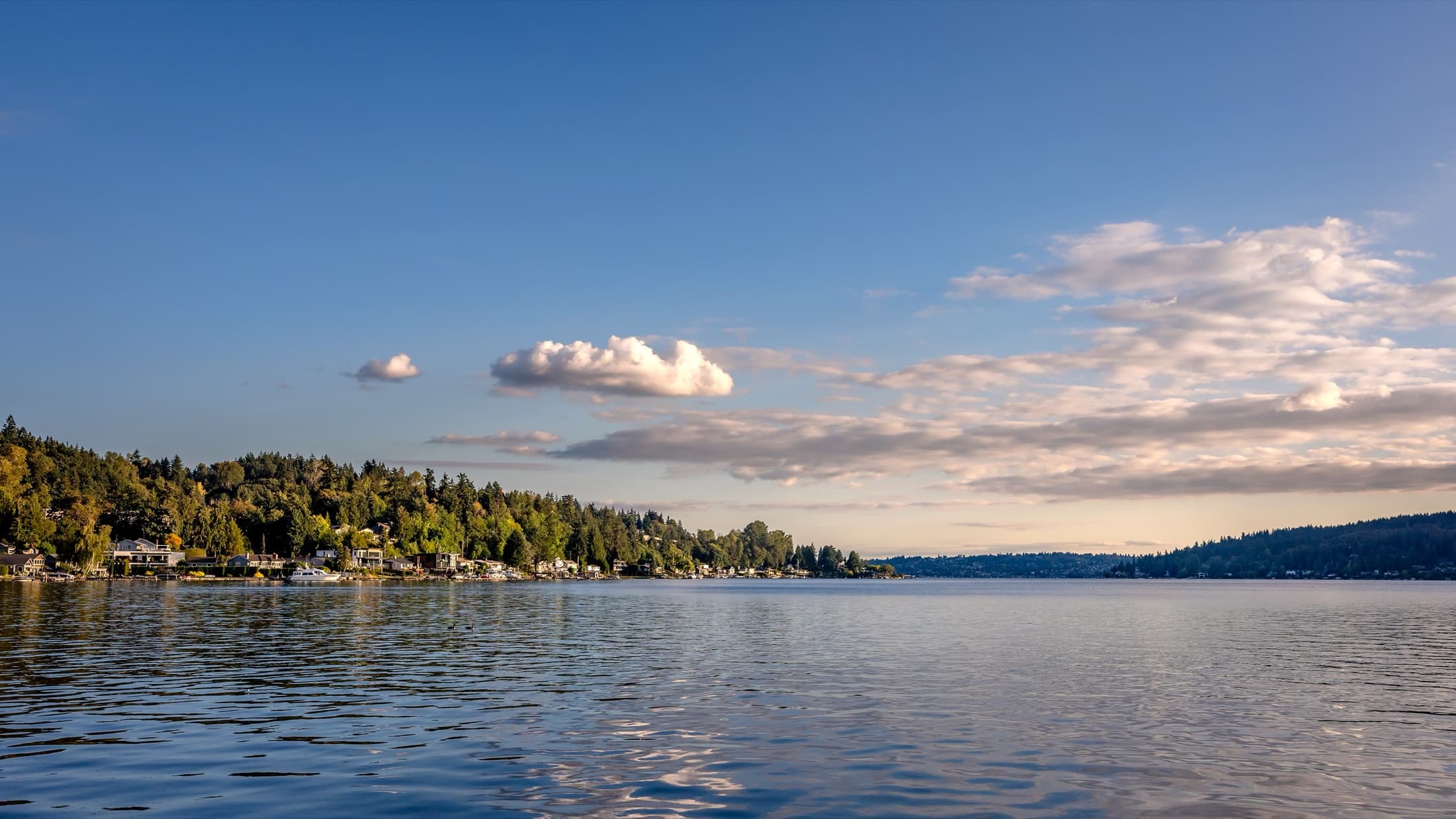 Quiet lake shore in warm evening light
