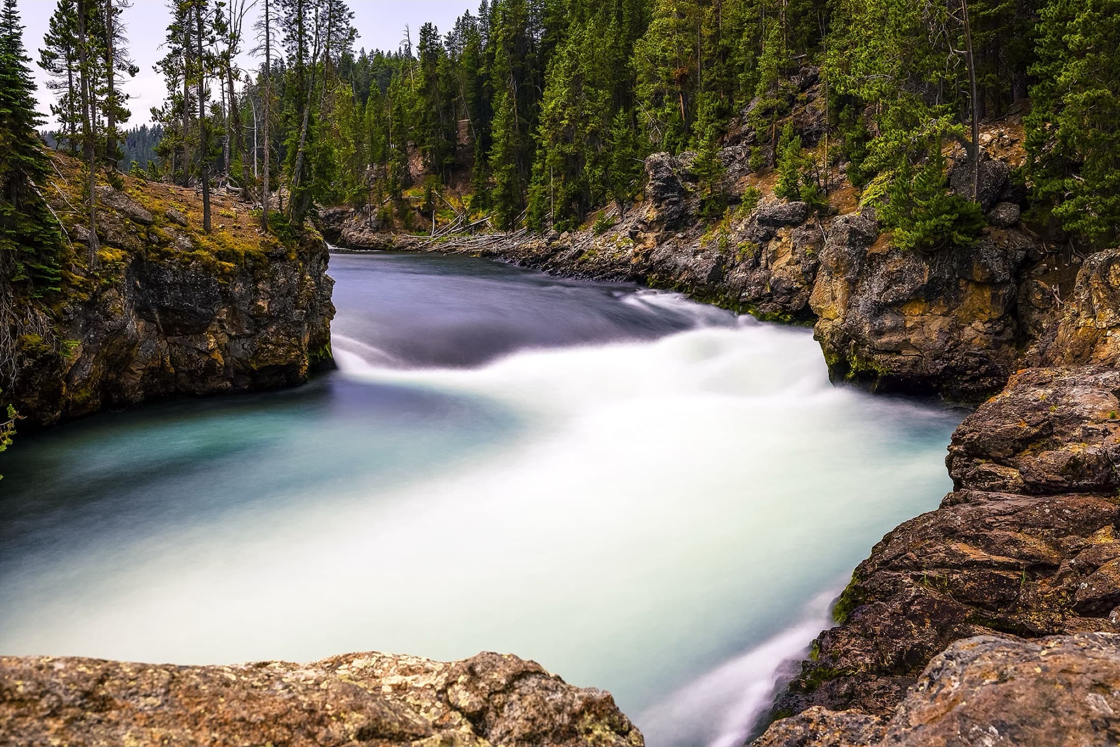 River running through rocks and evergreen forest