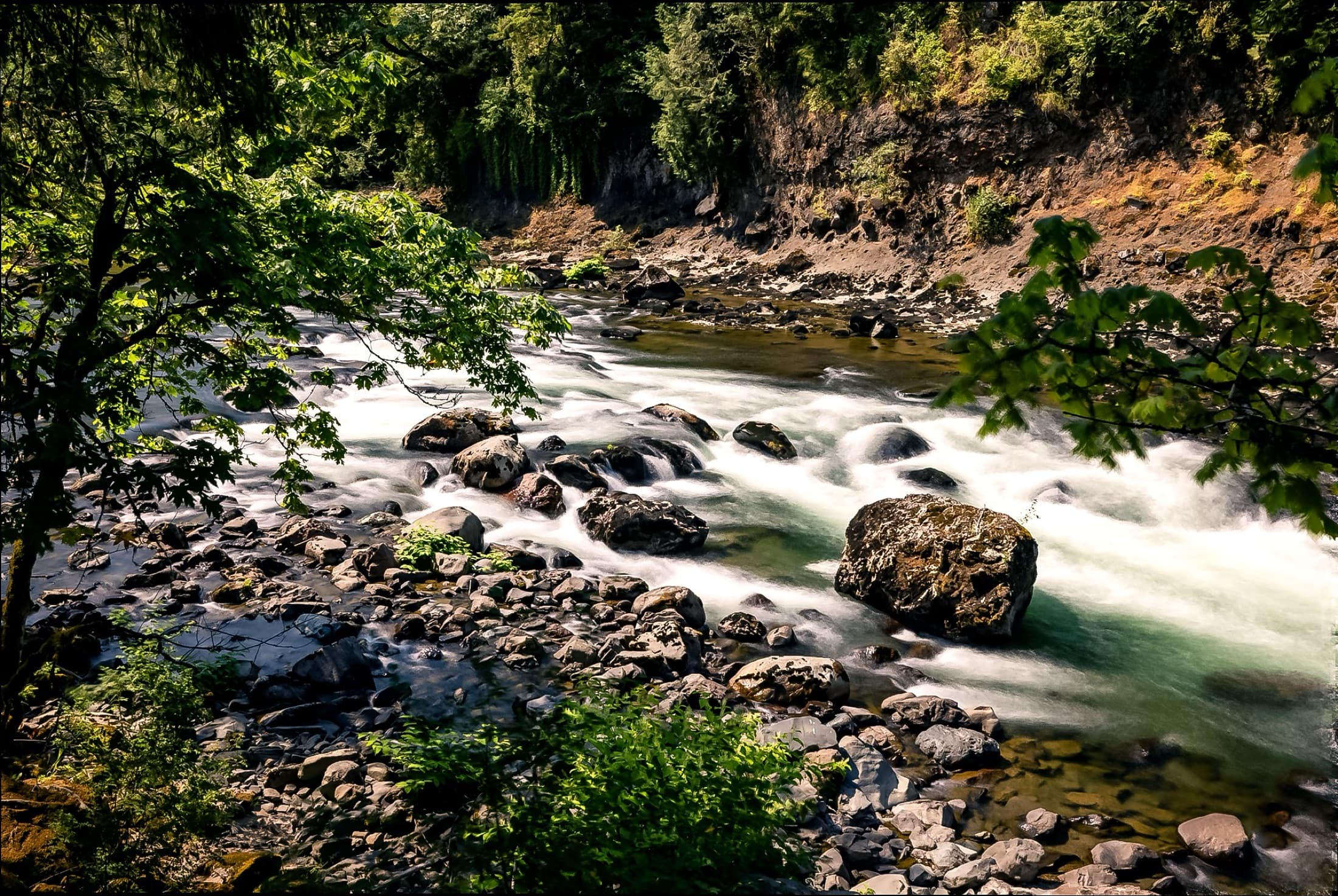 Fast river moving through a green forest